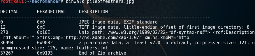 que-com-ctp-necromancer-binwalk