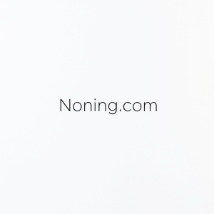 Noning.com